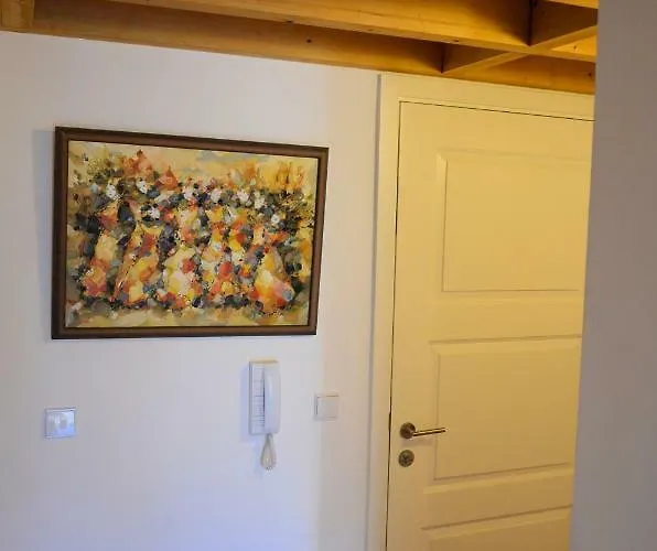 Bonjardim Traveller's House 波尔图