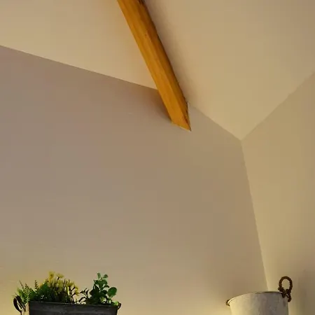 Bonjardim Traveller's House *