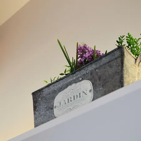 Bonjardim Traveller's House Apartment *