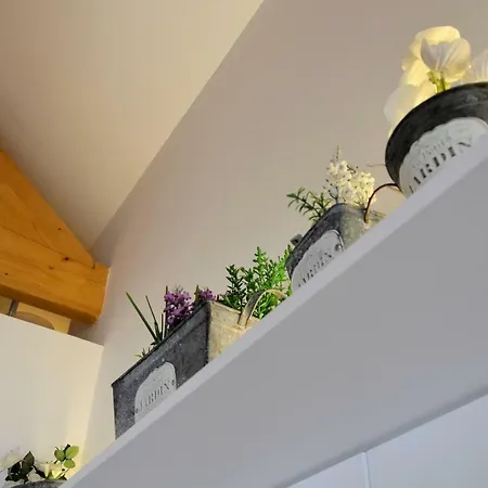 Bonjardim Traveller's House דירה פורטו