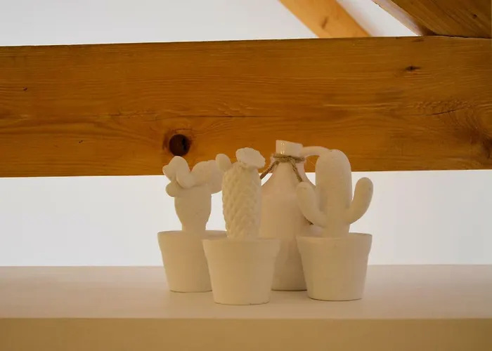 Bonjardim Traveller's House Apartament