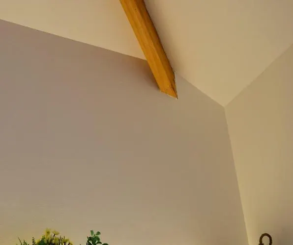 Bonjardim Traveller's House *