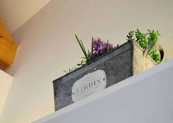 Bonjardim Traveller's House Apartamento *